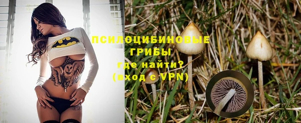 гидра Алзамай